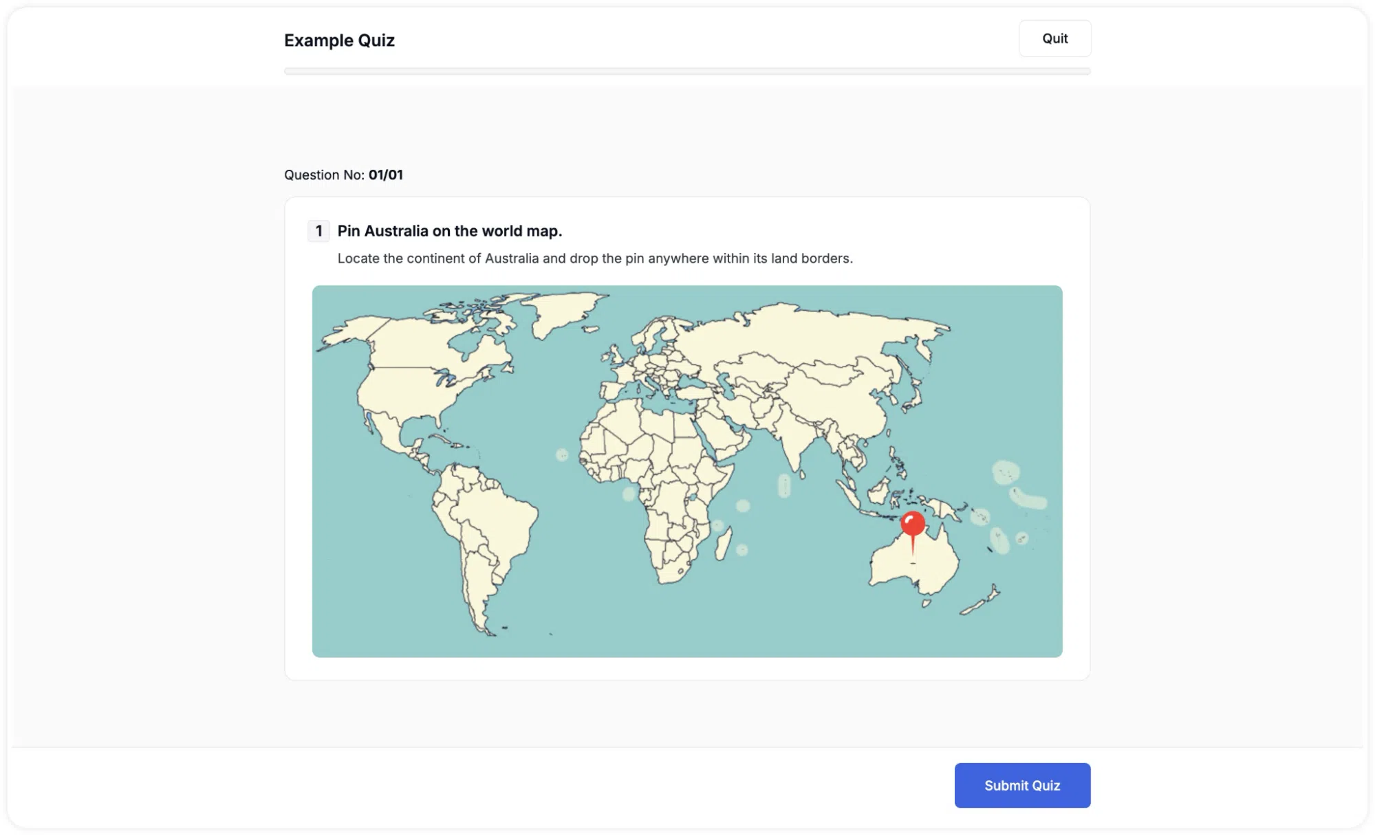 Pin Question Type-What the student sees