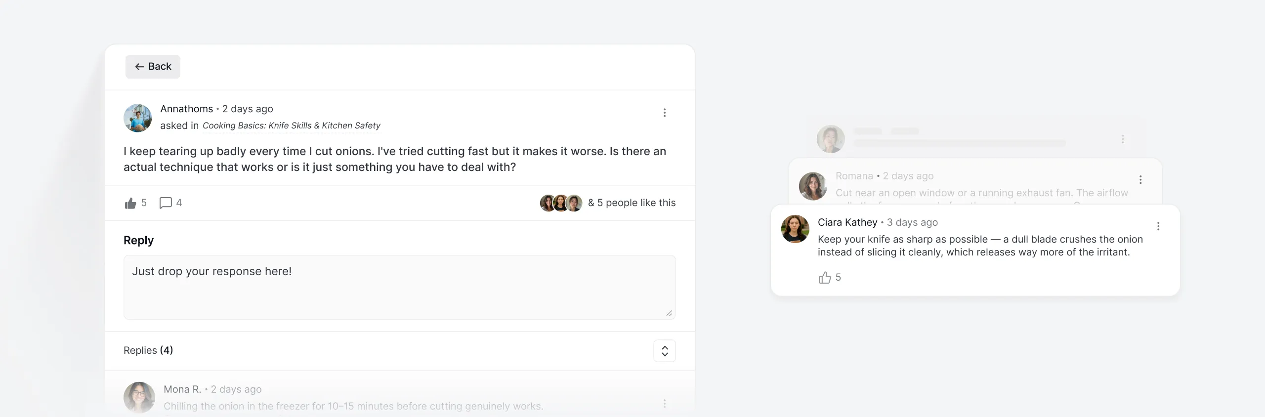 lesson-qa-thread-with-student-question-and-peer-replies