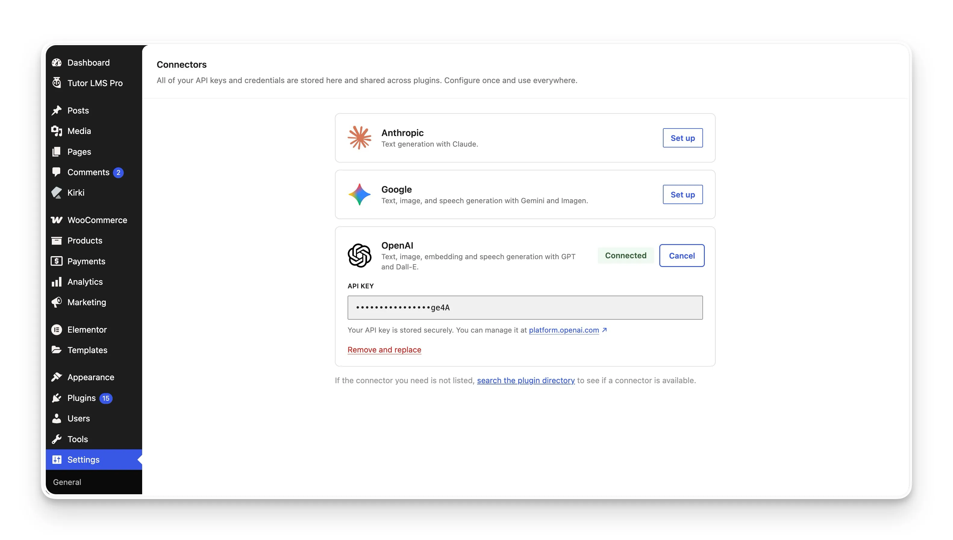 Insert API Key to Connect with AI provider